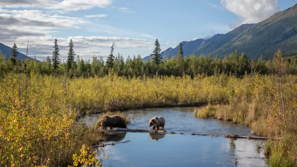 Eagle River Nature Center